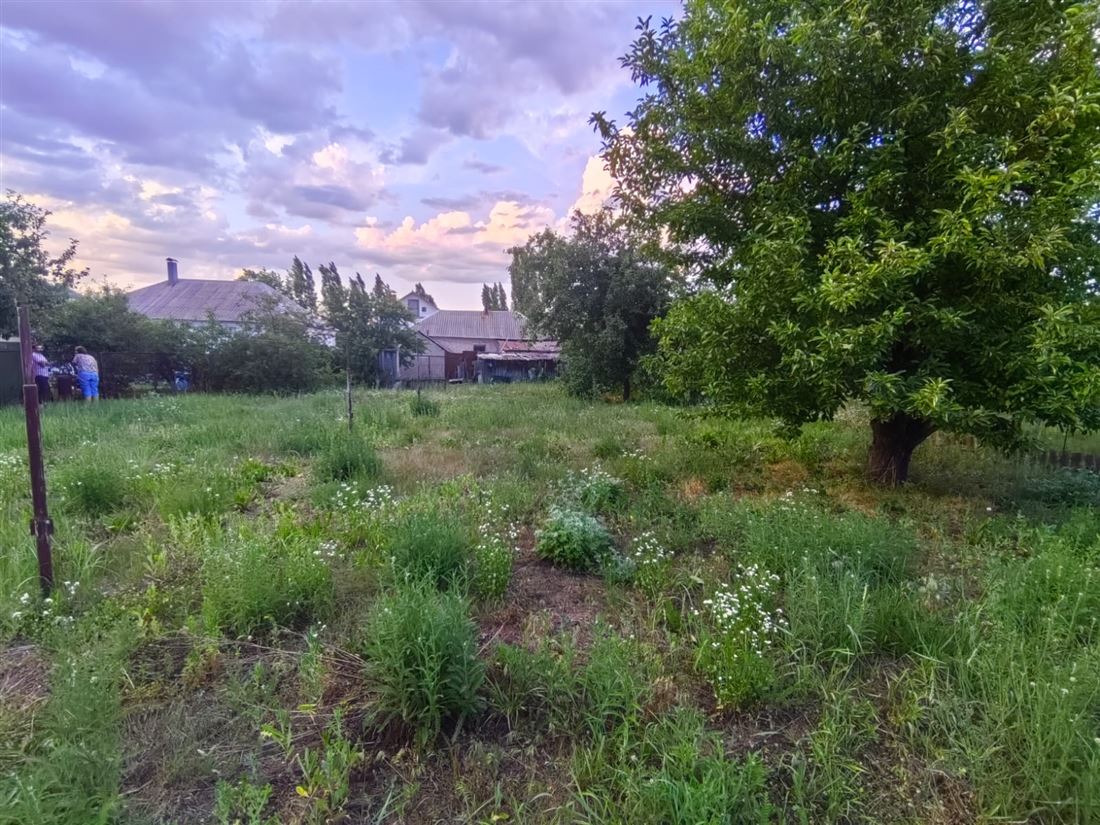 Купить  дом