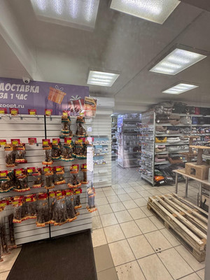 Снять  помещение свободного назначения
